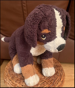 Pam's Dog after treatment