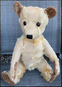 Ray G.'s Bear after treatment