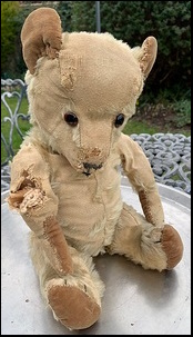 Ray G.'s Bear before treatment