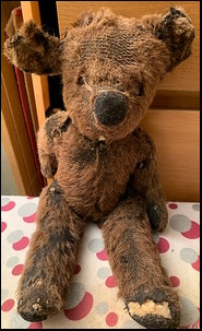 Ruth W.-D.'s Teddy before treatment