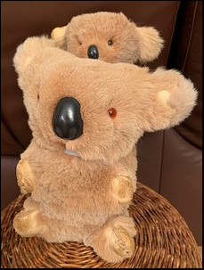 Susan D.'s Koalas after treatment