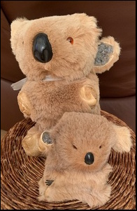 Susan D.'s Koalas before treatment