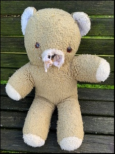 Saran E.'s teddy before treatment