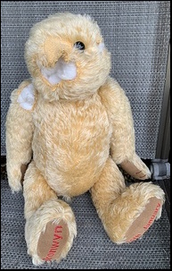 Sarah M.'s Teddy before treatment