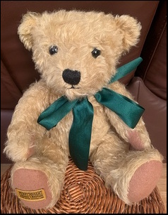 Terry S.'s Ted after treatment