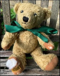 Terry S.'s Ted before treatment