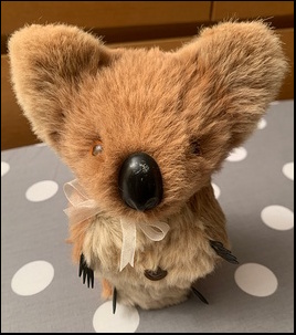 Aileen W.'s Koala after treatment