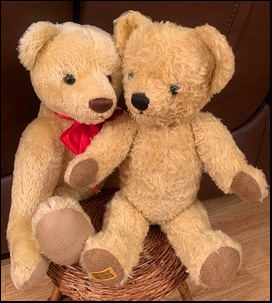 Beverley H.'s Teddies after treatment