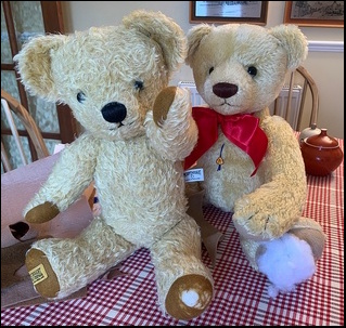 Beverley H.'s Teddies before treatment