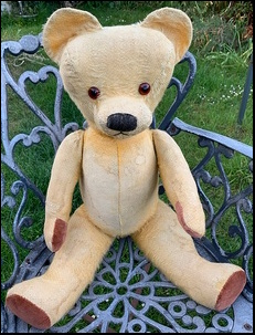 Belinda W.'s Big Ted after treatment