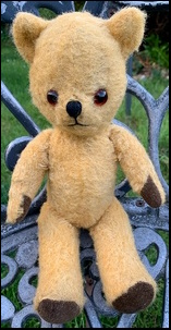 Belinda W.'s Little Ted after treatment