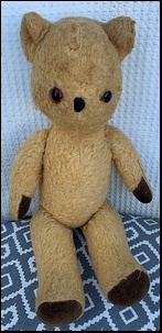 Belinda W.'s Little Ted before treatment