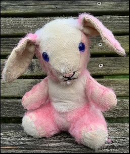 Christine S.'s Bunny after treatment