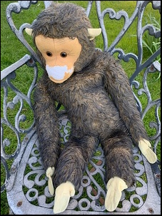 Carol S.'s Monkey before treatment