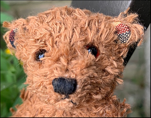 Frankie's head