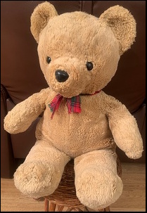 Helen C.'s Kit-Boy after treatment