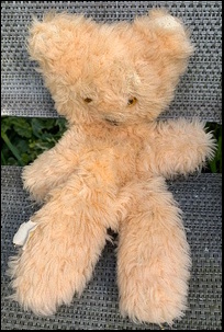 Holly J.'s Teddy Bear before treatment