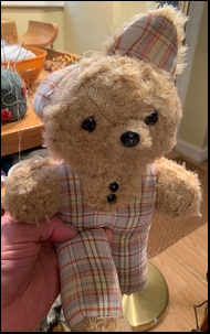 Iva G.'s Teddy before treatment