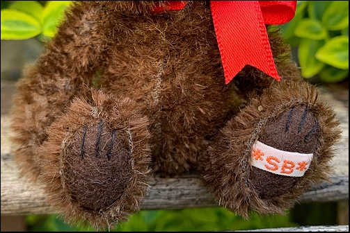 Isla's paws with the SB label