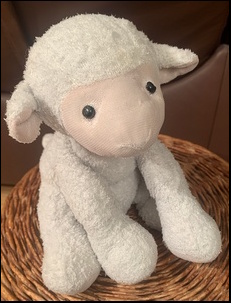 Jasmyn F.'s Lamby after treatment