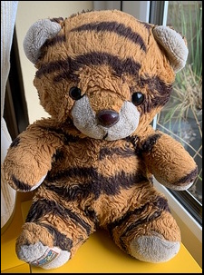 Jackie G.'s Tigger before treatment