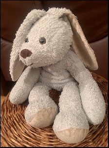 Julie H.'s Rabbit after treatment