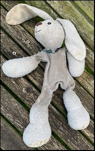 Julie H.'s Rabbit before treatment