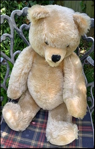 Jan W.'s Bear before treatment