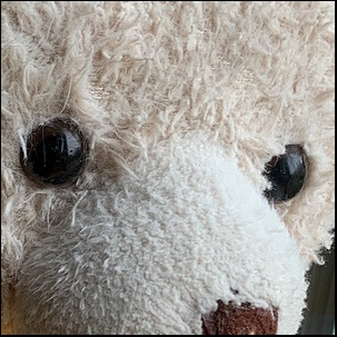 Melanie H.'s Teddy after treatment