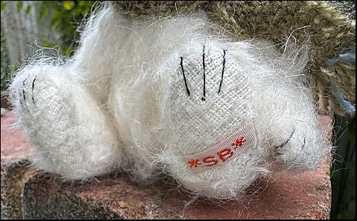 Myles's paws with the SB label