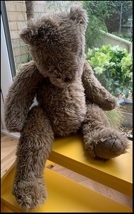 Nicky T.'s Teddy after treatment