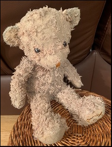 Peter M.'s TedTed after treatment