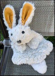 Richard C.'s Bun after treatment