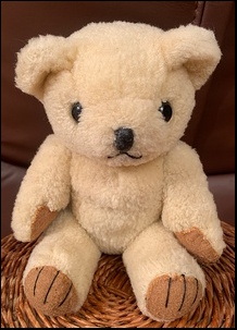 Rachael C.'s Teddy after treatment
