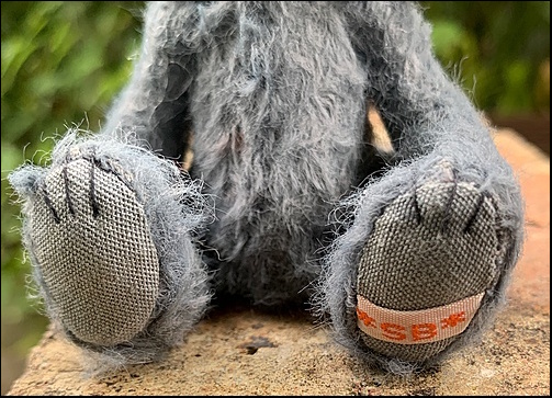 Ronny's paws with the SB label