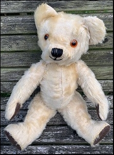 Steve C.'s Bear after treatment