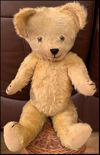 Sandra P.'s Teddy after treatment