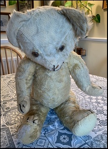 Sandra P.'s Teddy before treatment
