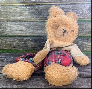 Angela H.'s Teddy before treatment