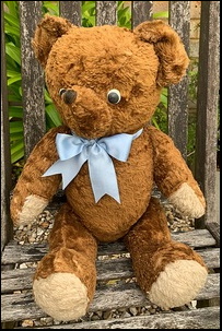 Andrew L.'s Teddy after treatment