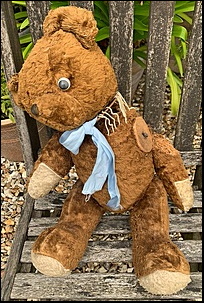 Andrew L.'s Teddy before treatment