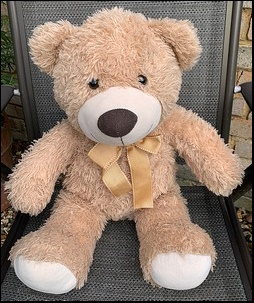 Andrew L.'s Baby Bear after treatment