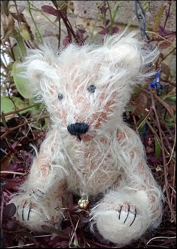 Alfie sitting in the garden