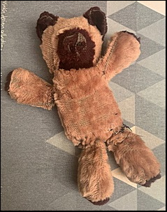 Angela's Teddy before