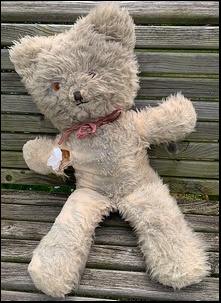 B. C.'s teddy before treatment