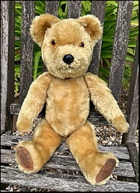 Beryl R.'s Teddy after treatment