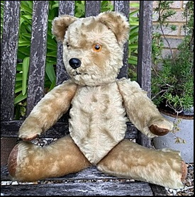 Beryl R's Ted before treatment