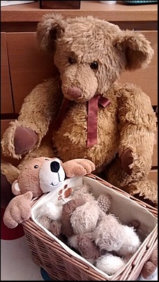 Future Teddies in a basket