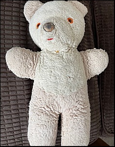 Big Ted before treatment