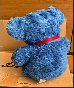 Blue Teddy after